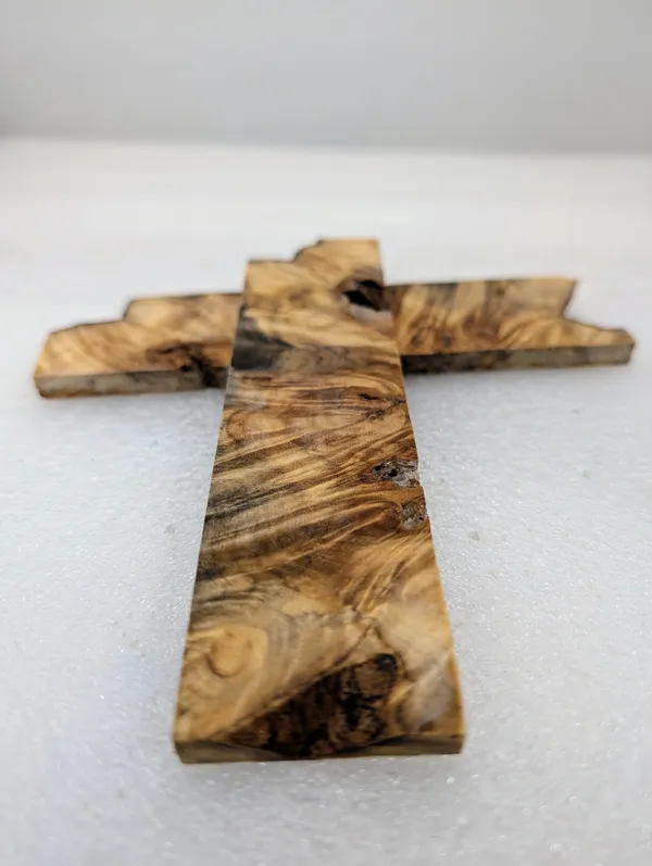 Exhibition Grade Stabilized Cottonwood Burl Scales (6x1.5x0.25) — photo 1