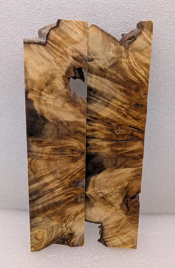 Exhibition Grade Stabilized Cottonwood Burl Scales (6x1.5x0.25) — photo 4