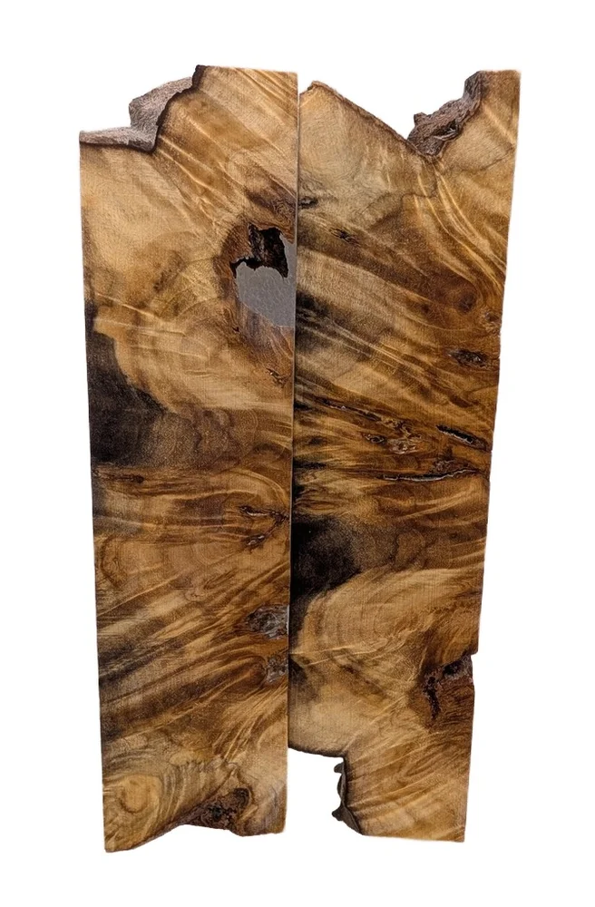 Exhibition Grade Stabilized Cottonwood Burl Scales (6x1.5x0.25)