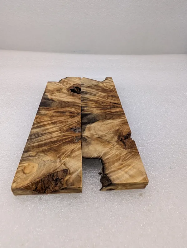 Exhibition Grade Stabilized Cottonwood Burl Scales (6x1.5x0.25) — photo 3