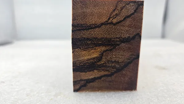 Clear Stabilized Zebrawood Turning Blank — photo 3