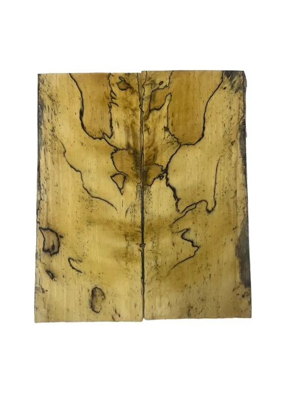 Hand-Selected Stabilized Spalted Tamarind Scales (5x2x0.25) — photo 2