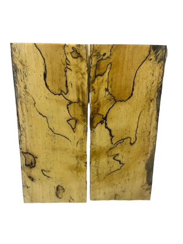 Hand-Selected Stabilized Spalted Tamarind Scales (5x2x0.25) — photo 1