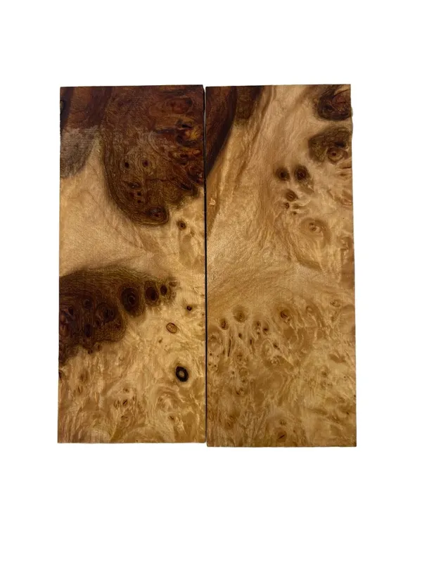 Exhibition Grade Stabilized Maple Burl Scales (5x2x0.25) — photo 3