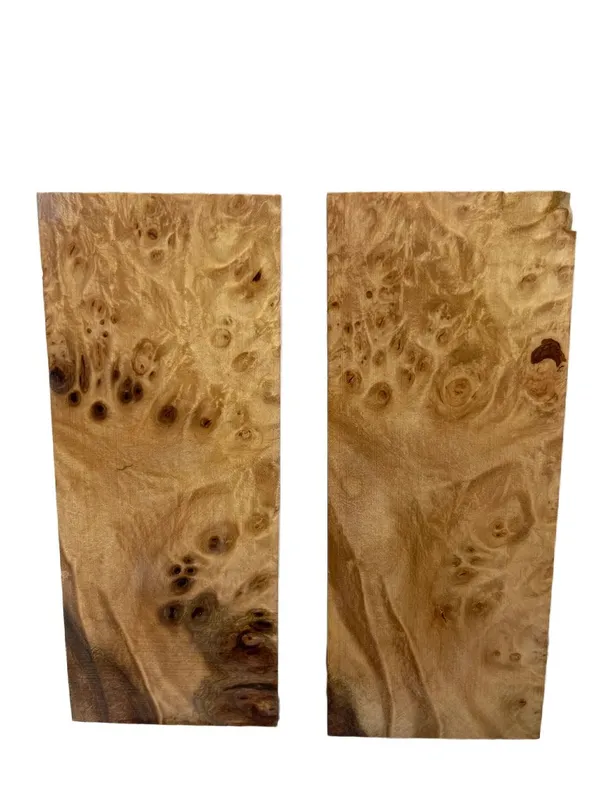 Exhibition Grade Stabilized Maple Burl Scales (5x2x0.25) — photo 2