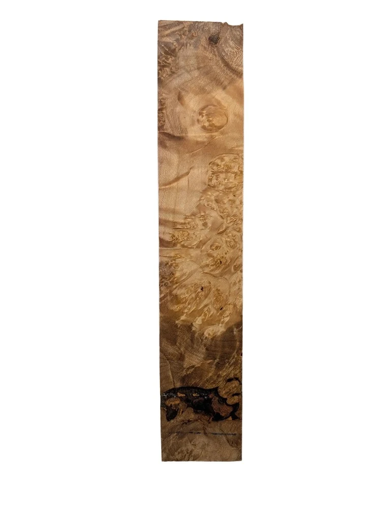 Premium Stabilized Maple Burl Turning Blank (9.75x1.875x1.5)
