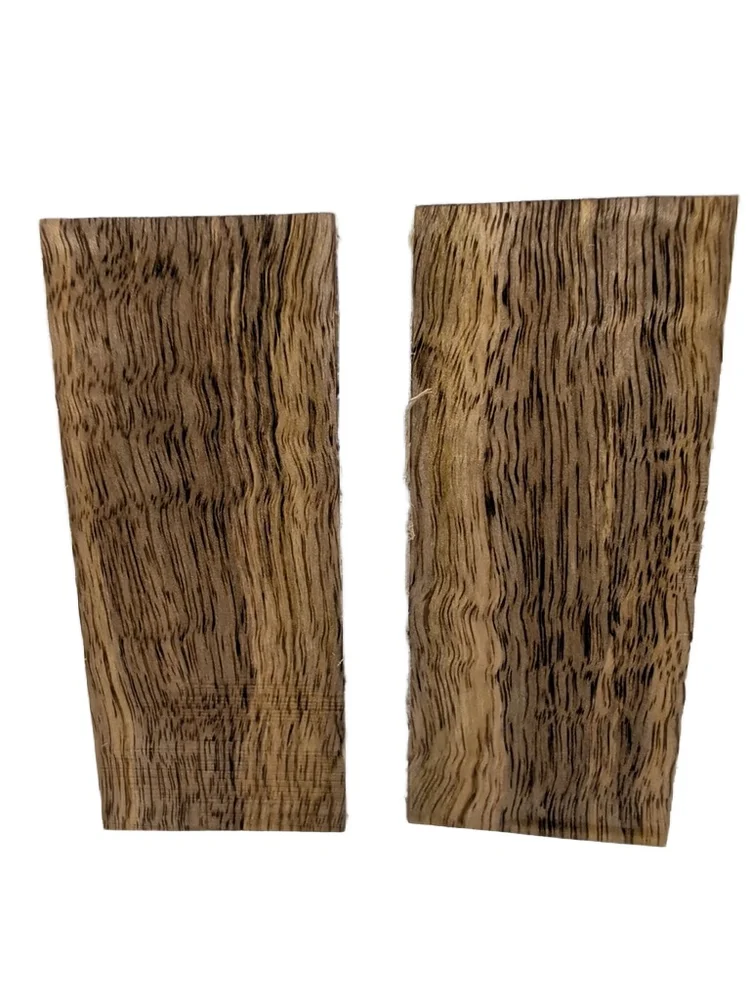 Hand-Selected Stabilized Curly Mango Scales (5x2x0.25)