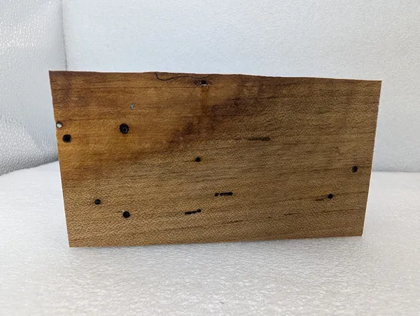 Clear Stabilized Spalted Maple Handle Block — photo 3