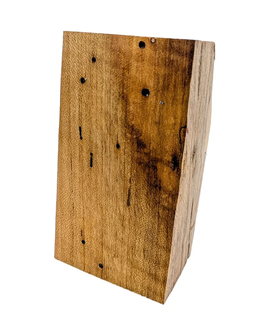 Hand-Selected Stabilized Spalted Maple Block (5x2.5x1.875)