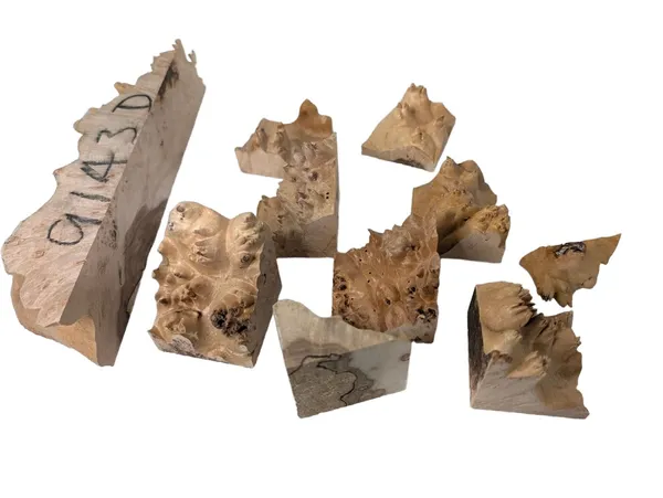 AAA Maple Burl Offcuts — photo 1