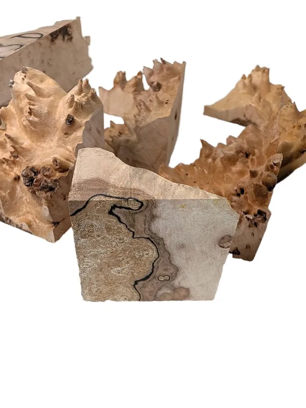 AAA Maple Burl Offcuts — photo 2