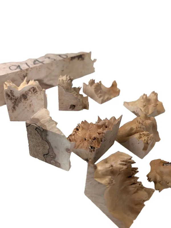 AAA Maple Burl Offcuts — photo 3