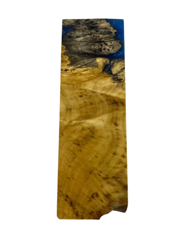 Electric Blue Dyed Stabilized Buckeye Burl Knife Handle Block (6x2x1) — photo 3