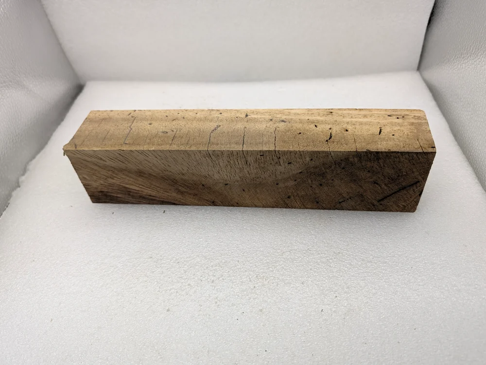 Natural Spalted Monkeypod Turning Blank (10x2.25x1.875)