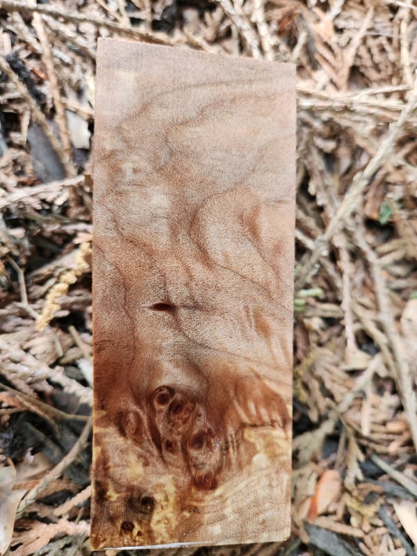 Clear Stabilized Burl Maple Handle Block — photo 4