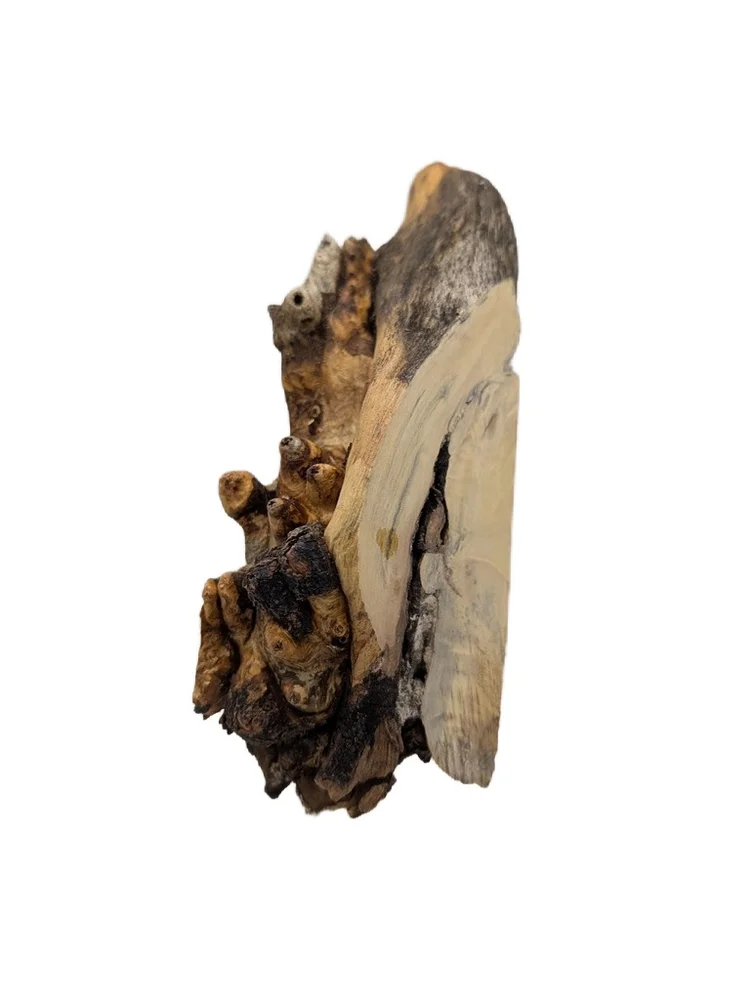 AAA Stabilized California Buckeye Burl Turning Blank (7.25x2.5x2)
