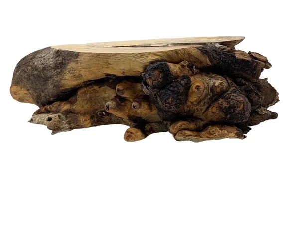 AAA Stabilized California Buckeye Burl Turning Blank (7.25x2.5x2) — photo 3