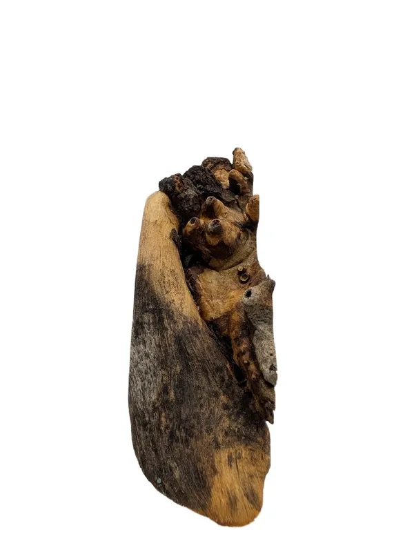 AAA Stabilized California Buckeye Burl Turning Blank (7.25x2.5x2) — photo 2