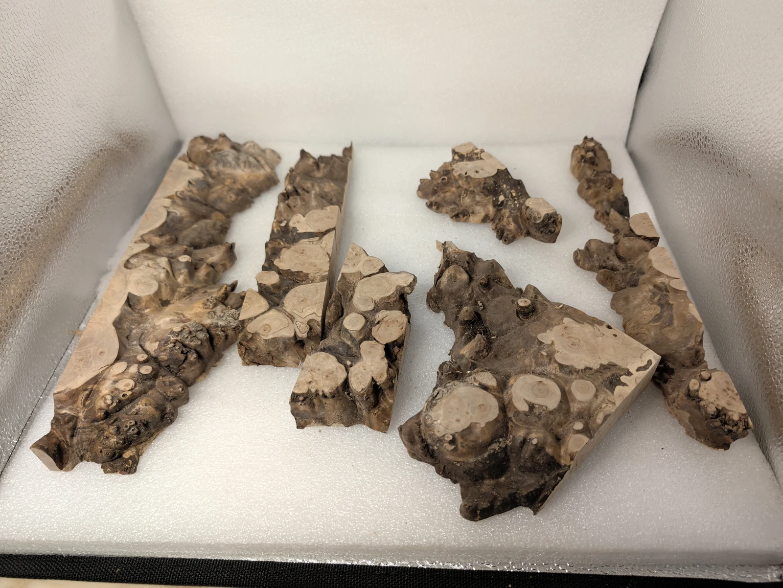 Natural Maple Burl Offcuts