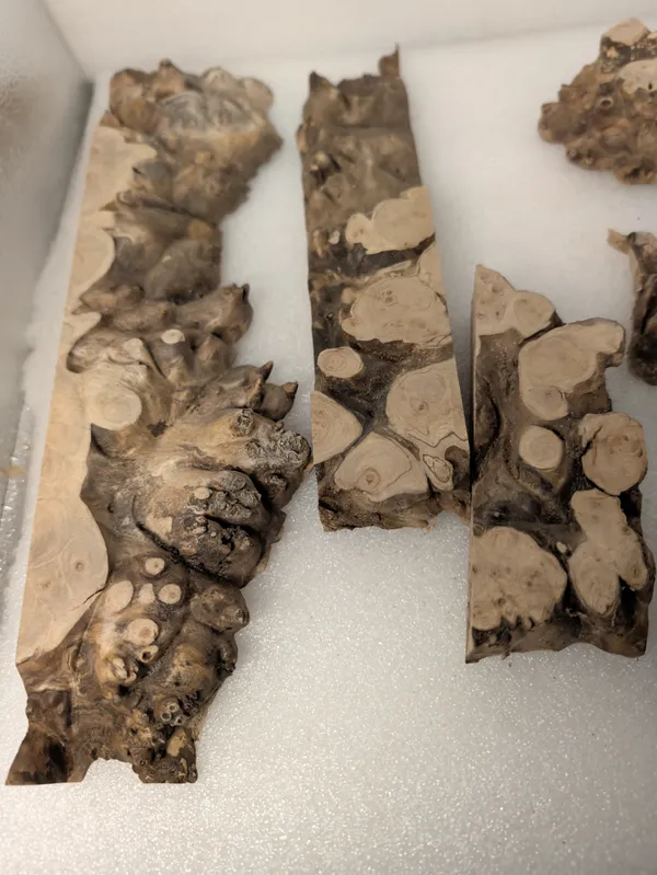 Natural Maple Burl Offcuts — photo 3